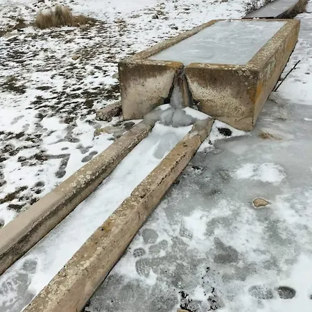 Apartman Casa Majo Vute-23-002 *