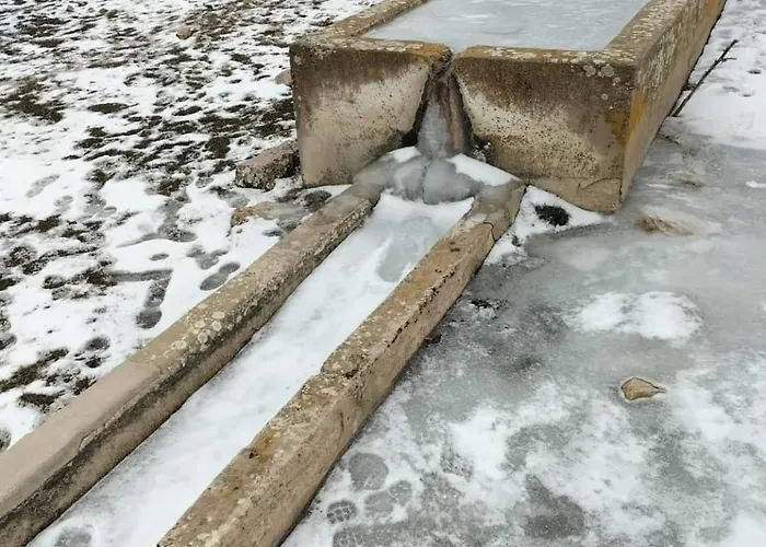 Lägenhet Casa Majo Vute-23-002 *